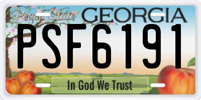 GA license plate PSF6191