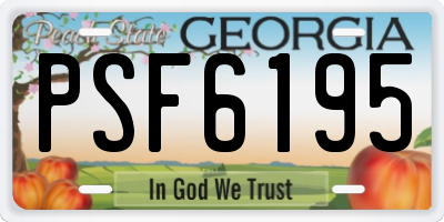 GA license plate PSF6195
