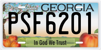 GA license plate PSF6201
