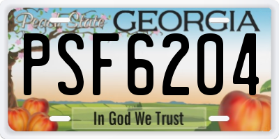 GA license plate PSF6204