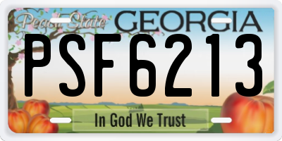 GA license plate PSF6213