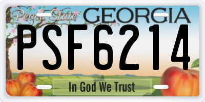 GA license plate PSF6214