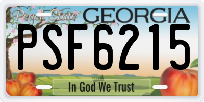 GA license plate PSF6215