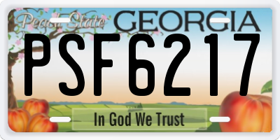 GA license plate PSF6217