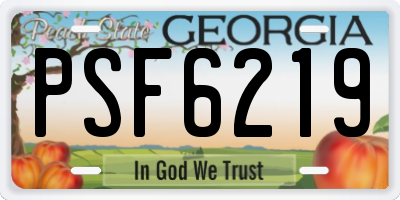 GA license plate PSF6219