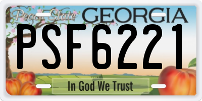 GA license plate PSF6221