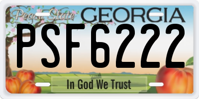 GA license plate PSF6222