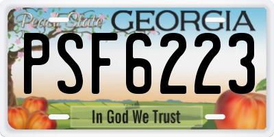 GA license plate PSF6223
