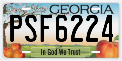 GA license plate PSF6224