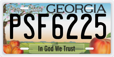 GA license plate PSF6225