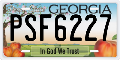 GA license plate PSF6227