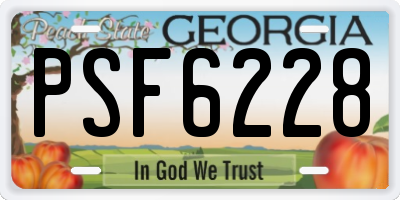 GA license plate PSF6228