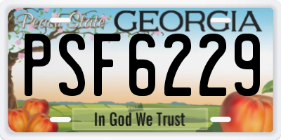 GA license plate PSF6229