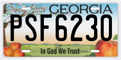 GA license plate PSF6230
