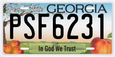 GA license plate PSF6231