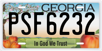GA license plate PSF6232