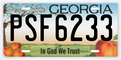 GA license plate PSF6233