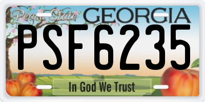 GA license plate PSF6235