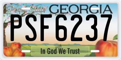 GA license plate PSF6237