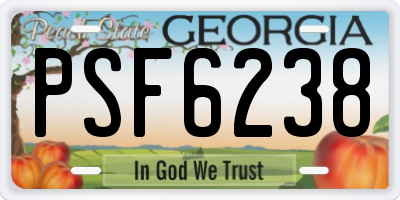 GA license plate PSF6238