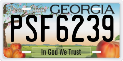 GA license plate PSF6239