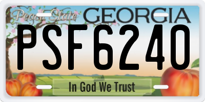 GA license plate PSF6240