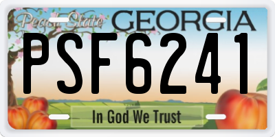 GA license plate PSF6241