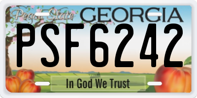 GA license plate PSF6242