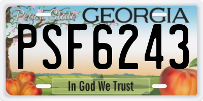 GA license plate PSF6243
