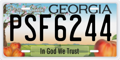 GA license plate PSF6244