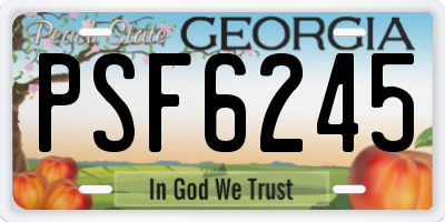GA license plate PSF6245