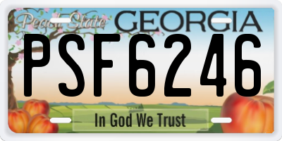 GA license plate PSF6246