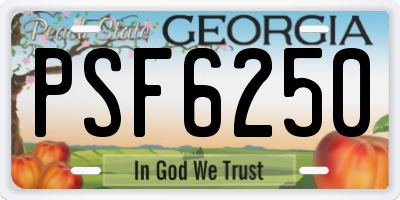 GA license plate PSF6250
