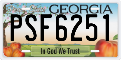 GA license plate PSF6251