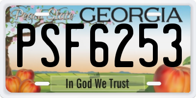GA license plate PSF6253
