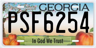 GA license plate PSF6254