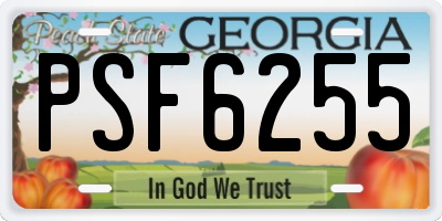 GA license plate PSF6255