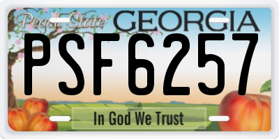 GA license plate PSF6257