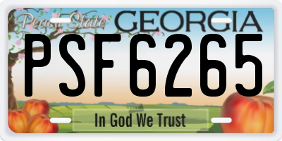 GA license plate PSF6265