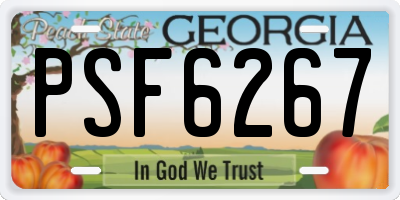 GA license plate PSF6267