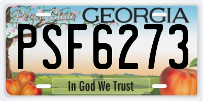 GA license plate PSF6273