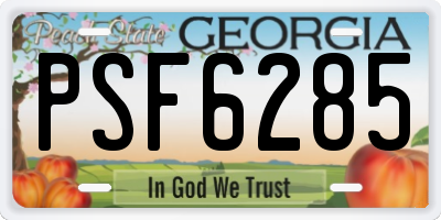 GA license plate PSF6285