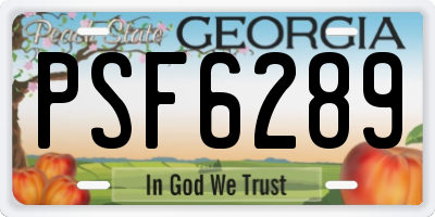 GA license plate PSF6289