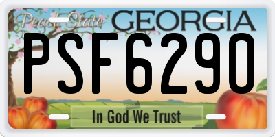 GA license plate PSF6290
