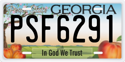 GA license plate PSF6291