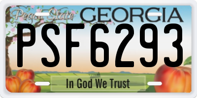 GA license plate PSF6293