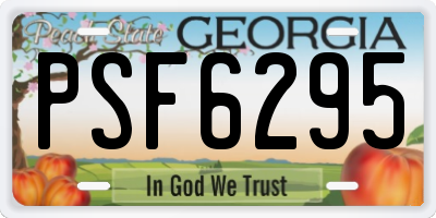 GA license plate PSF6295