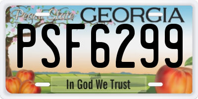 GA license plate PSF6299