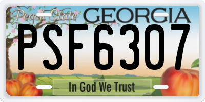 GA license plate PSF6307
