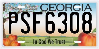 GA license plate PSF6308